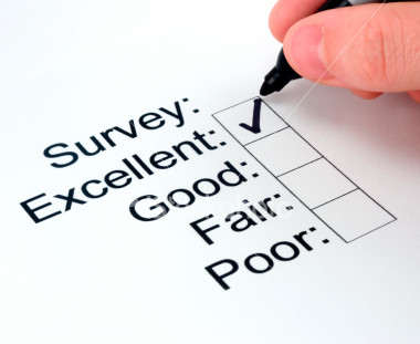 Survey Rating